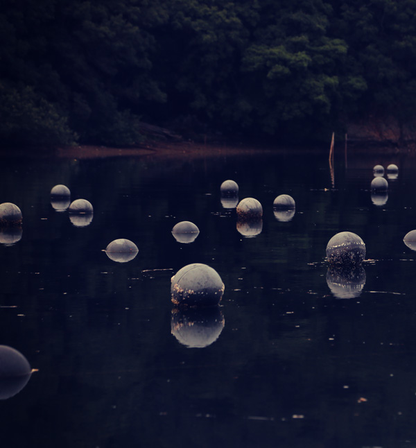 takashi deguchi |出口崇|PEARL FAR EAST01